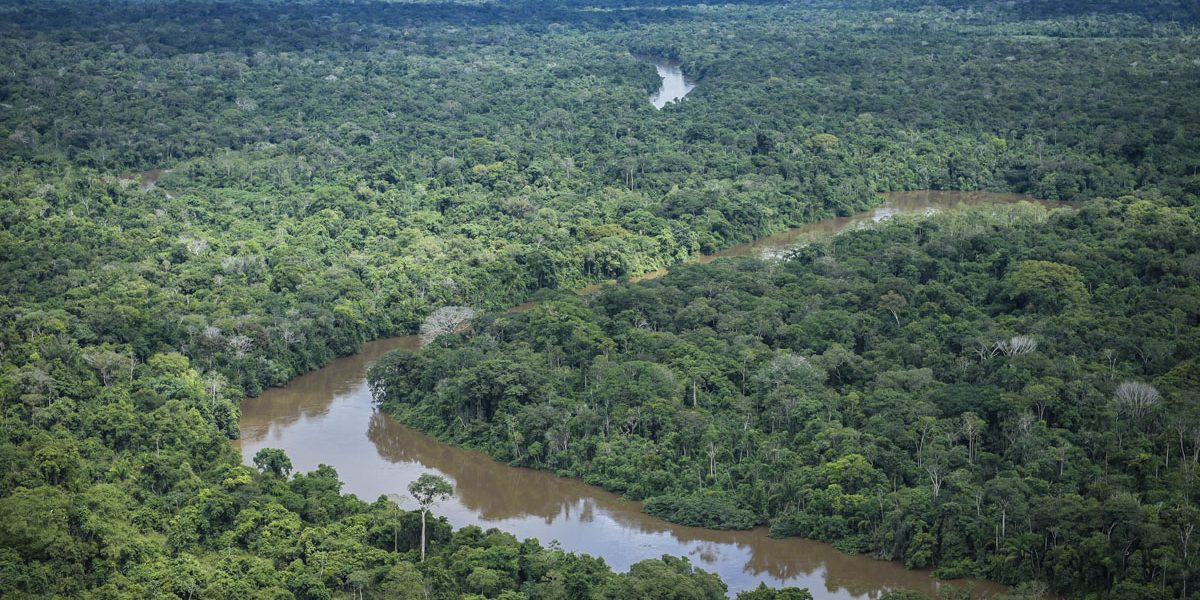 Ibama realiza megaoperação na Amazônia