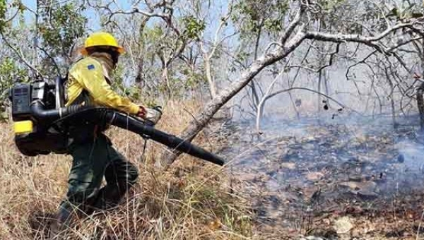 Força-Tarefa combate 14 incêndios