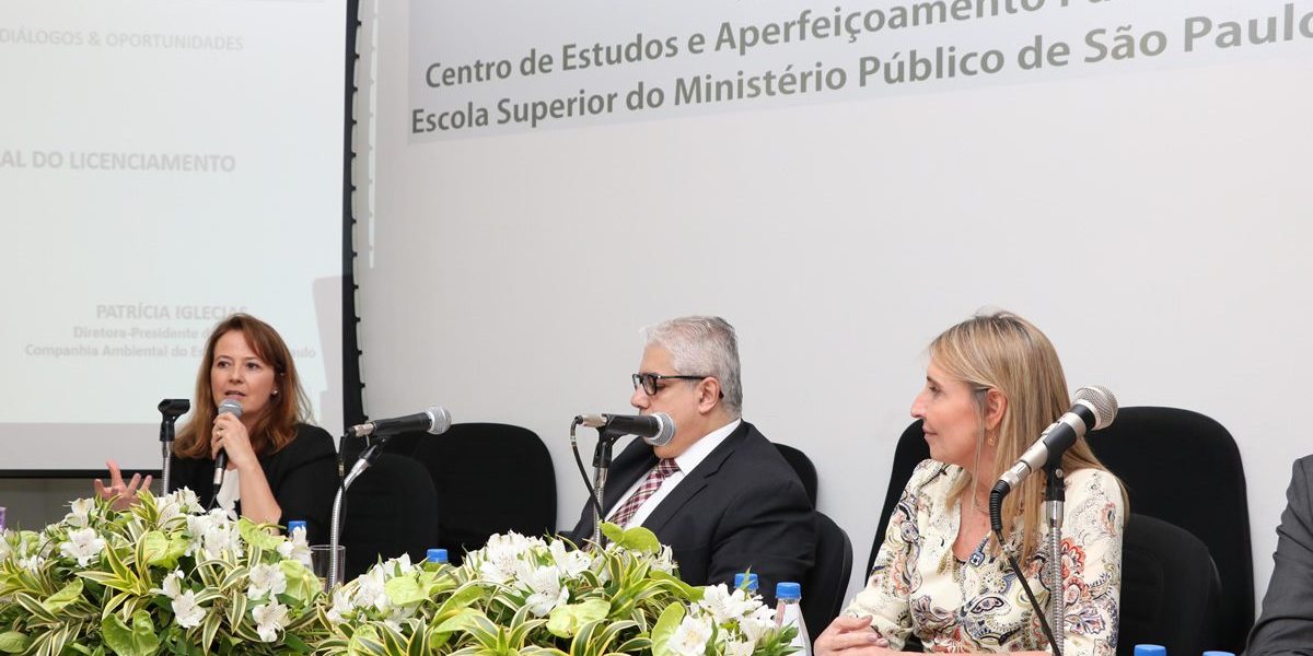 Patrícia Iglecias comenta a nova lei do licenciamento ambiental